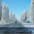 Zimowe rady dla kierowców